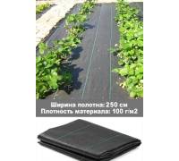 Агроткань (ширина 250 см, плотность 100 г/м2)