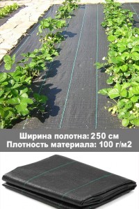 Агроткань для клубники (ширина 250 см, плотность 100 г/м2)