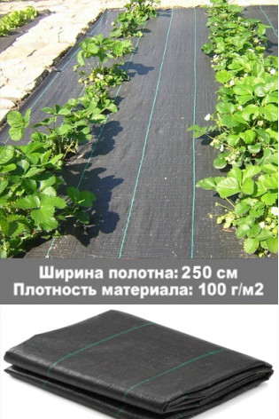 Агроткань для клубники (ширина 250 см, плотность 100 г/м2, цена за 1 погонный метр)