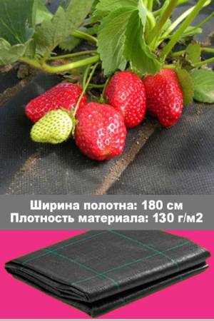 Агроткань 1.80 на 1.5 м (плотность 100 г/м2) 