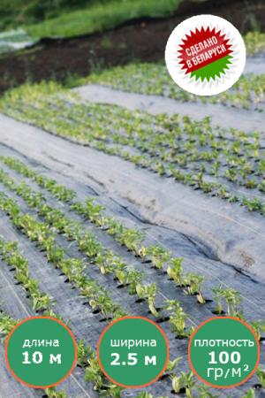 Агроткань 2.5 м на 10 м