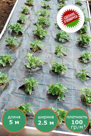 Агроткань 2.5 м на 5 м