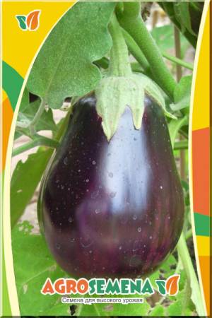 Баклажан Альбатрос