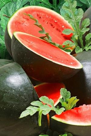 Арбуз Шуга Бейби