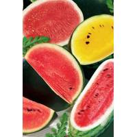 Арбуз Смесь суперранних сортов