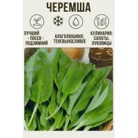 Черемша