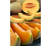 Дыня Эмир F1 