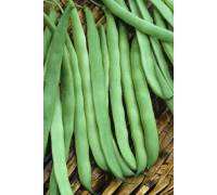 Фасоль Некарская королева спаржевая