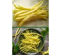 Фасоль спаржевая Паланачка Ранняя