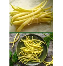 Фасоль спаржевая Паланачка Ранняя