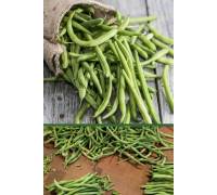 Фасоль спаржевая Панонка