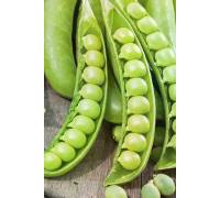 Горох Амалфи овощной