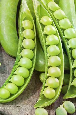 Горох Амалфи овощной