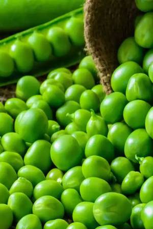 Горох Глориоза