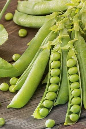 Горох Преладо овощной