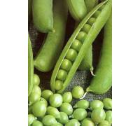 Горох Сомервуд