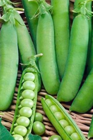 Горох Вальверде овощной