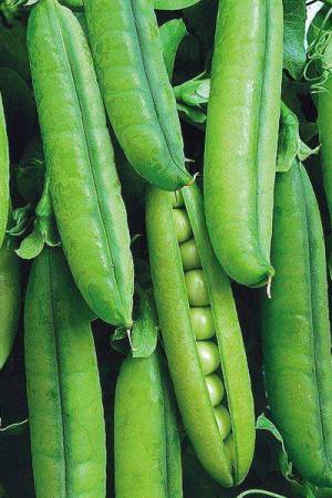 Горох Волна овощной - 12 гр