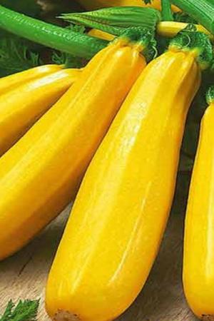 Кабачок Желтоплодный 2 г