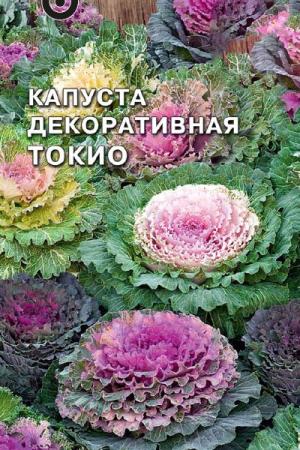 Капуста декоративная Токио смесь