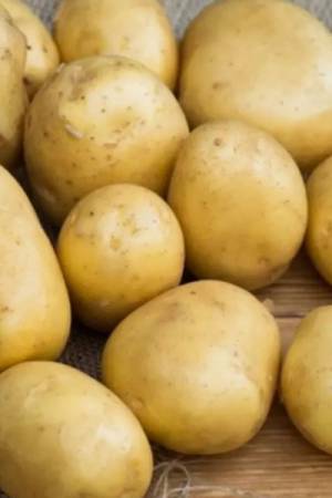 Картофель Лада F1