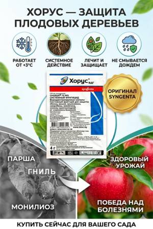 Хорус ВДГ 4г фунгицид