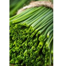 Лук шнитт Сонет