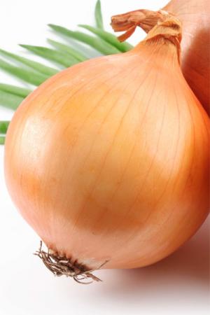 Лук Стурон репчатый