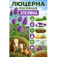 Люцерна посевная Эзелина 800 гр