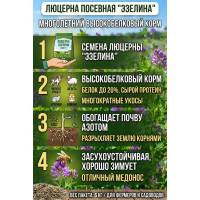 Люцерна посевная Эзелина 5 кг