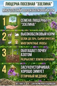 Люцерна посевная Эзелина 5 кг