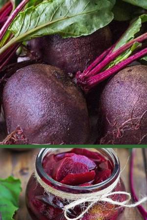 Свекла Мадам Ружетт F1