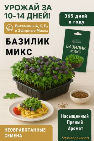 Микрозелень Брокколи микс