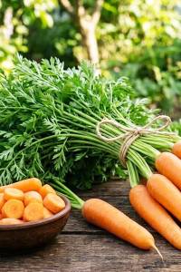 Морковь Берликумер 2 столовая 100 гр