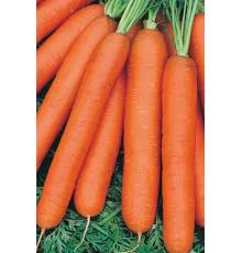 Морковь Голландка столовая 100 гр