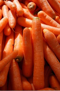 Морковь Голландка