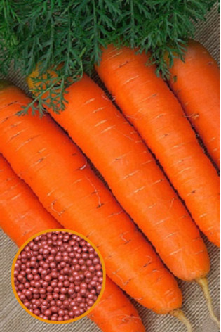 Морковь Детская сладость в гранулах 300 шт