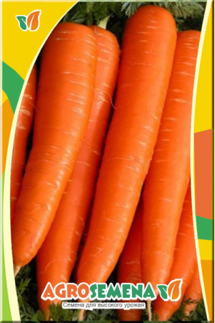 Морковь Королева осени 2 гр