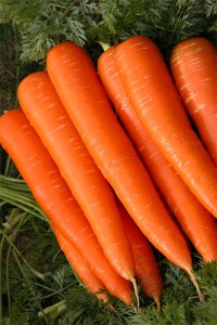 Морковь Красная боярыня