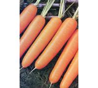 Морковь Найроби F1