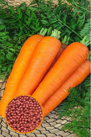 Морковь Роте ризен в гранулах 300 шт 