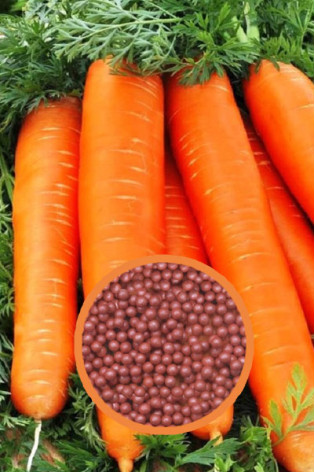 Морковь Самсон драже 300 шт