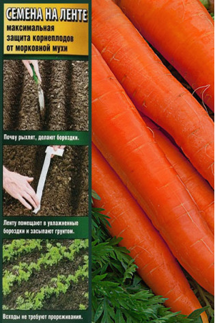 Морковь Витаминная на ленте 8 м