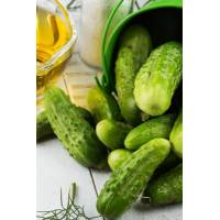 Огурец Малыш- подарок