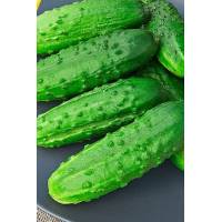 Огурец Родничок F1 - 0.6 гр