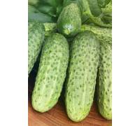 Огурец Анулька F1