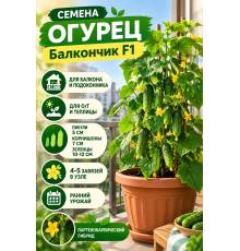 Огурец Балкончик F1