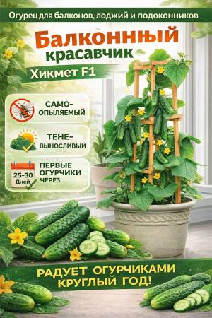 Огурец Балконный красавчик Хикмет F1