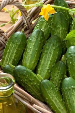 Огурец Борис F1 корнишон