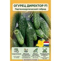 Огурец Директор F1